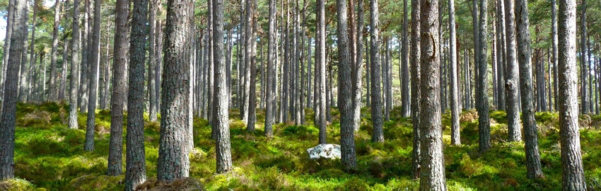 Un geste écologique