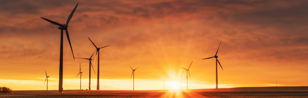 Champ d'éolienne pendant un coucher de soleil