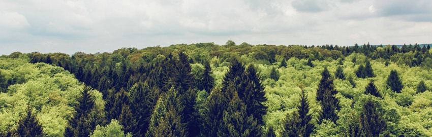 Des entreprises engagées dans le développement durable